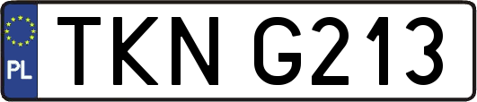 TKNG213