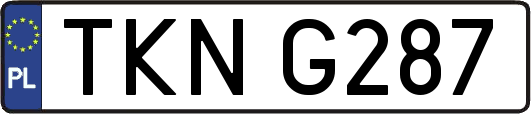 TKNG287