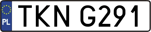 TKNG291