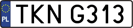 TKNG313