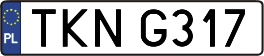 TKNG317