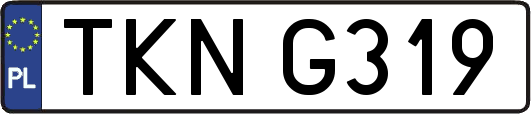TKNG319