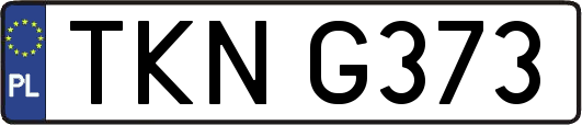 TKNG373