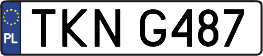 TKNG487