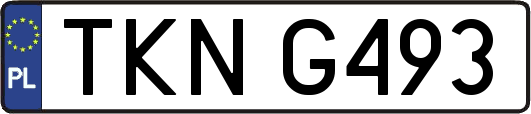 TKNG493