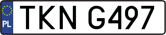 TKNG497
