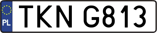 TKNG813