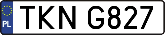 TKNG827