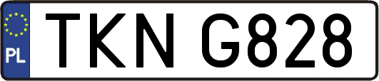 TKNG828