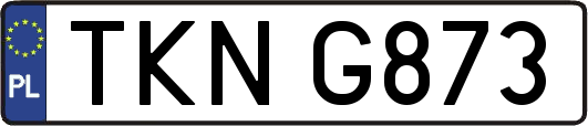 TKNG873