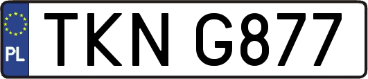 TKNG877