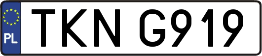 TKNG919