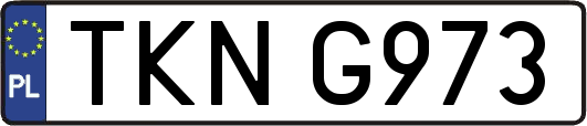 TKNG973