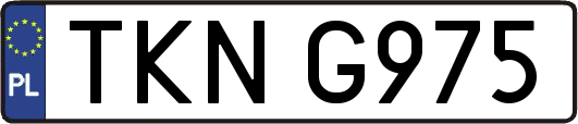 TKNG975