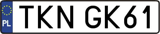 TKNGK61