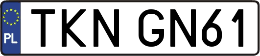 TKNGN61