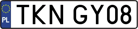TKNGY08