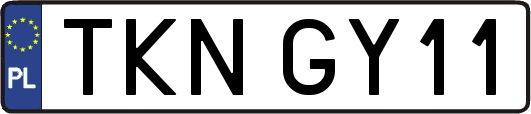 TKNGY11