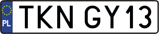 TKNGY13