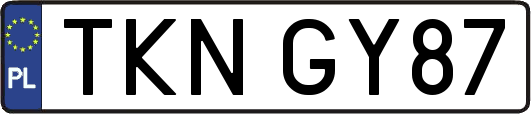 TKNGY87
