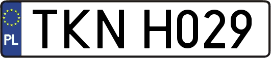 TKNH029