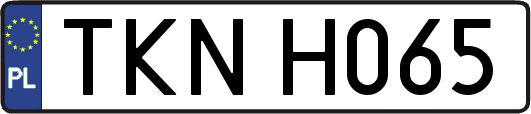 TKNH065