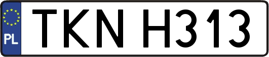 TKNH313