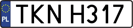 TKNH317