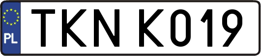 TKNK019