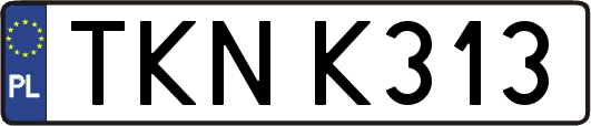 TKNK313