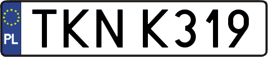 TKNK319