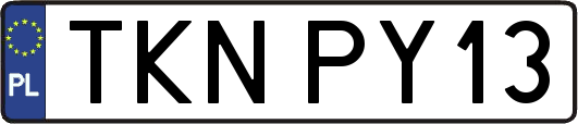TKNPY13