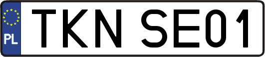 TKNSE01