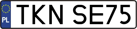TKNSE75