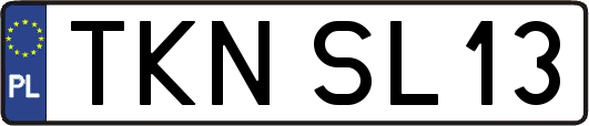 TKNSL13