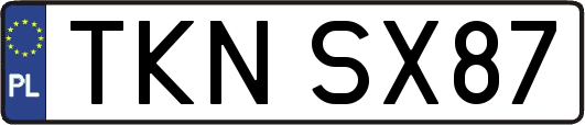 TKNSX87