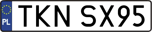 TKNSX95