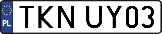 TKNUY03