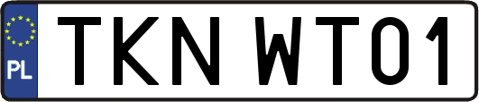 TKNWT01