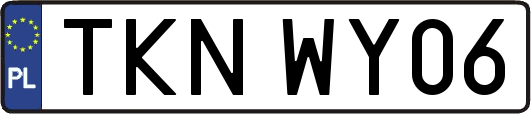 TKNWY06