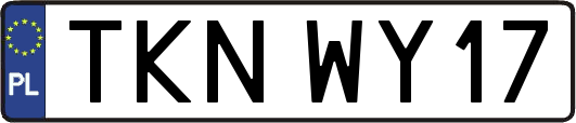 TKNWY17