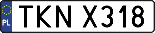 TKNX318