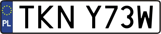TKNY73W