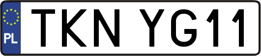 TKNYG11