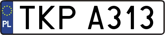 TKPA313