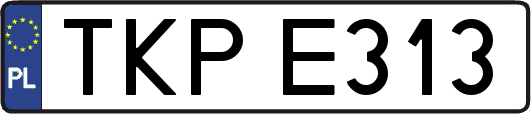 TKPE313