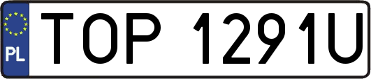 TOP1291U