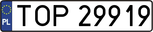 TOP29919