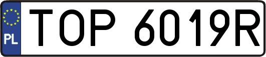 TOP6019R