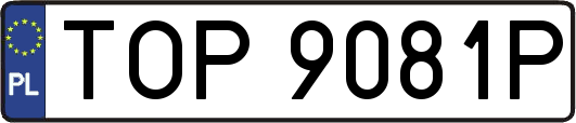 TOP9081P